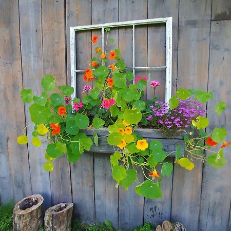 Spacious Country Retreat Close To Town And Nature, Sylvana Farm Vt Montpelier Exteriér fotografie