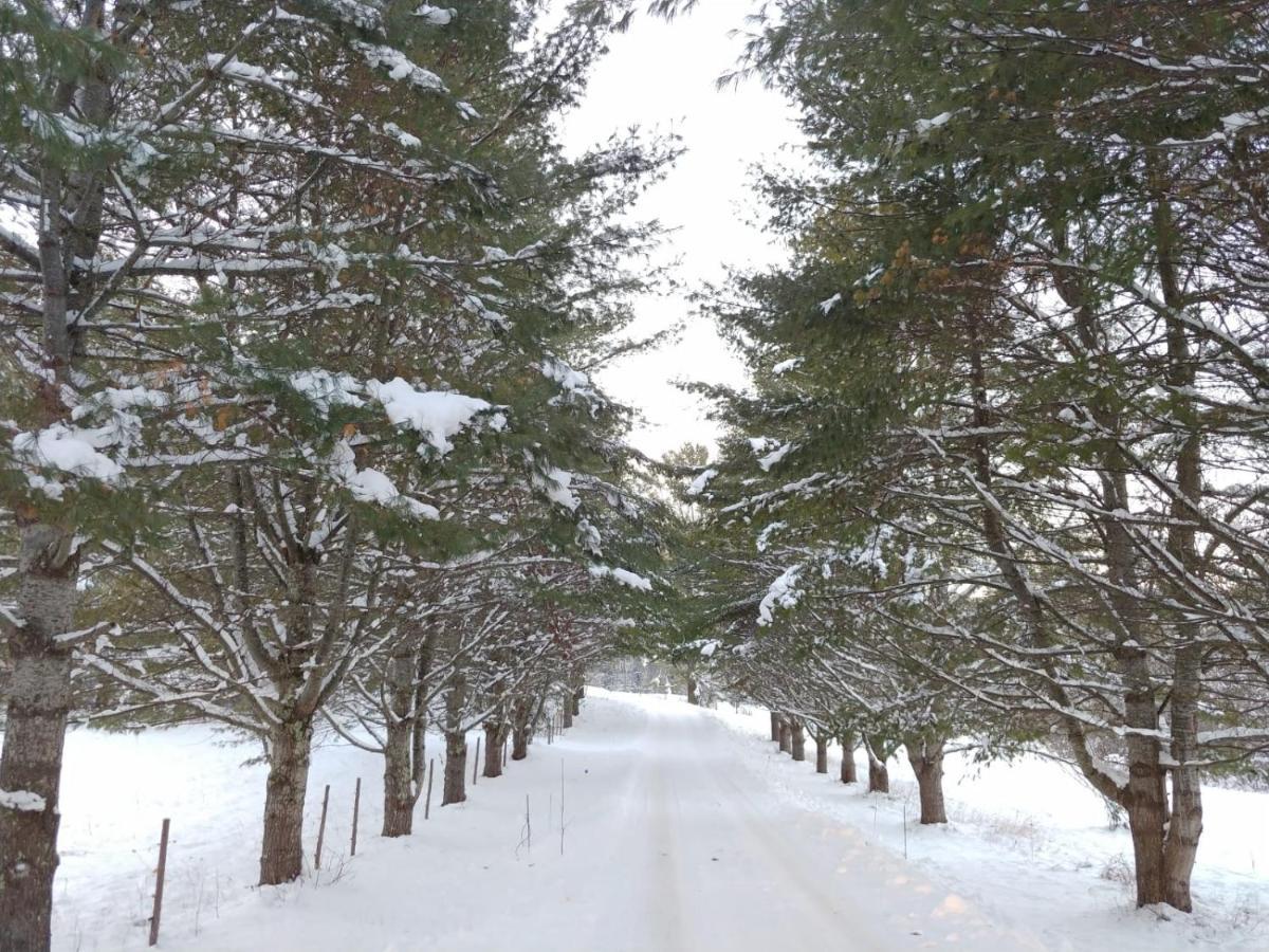 Spacious Country Retreat Close To Town And Nature, Sylvana Farm Vt Montpelier Exteriér fotografie