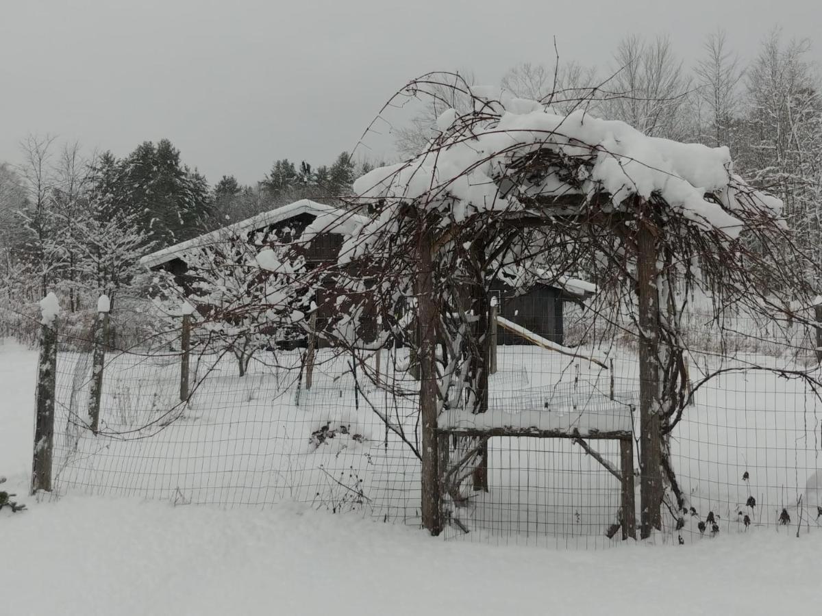 Spacious Country Retreat Close To Town And Nature, Sylvana Farm Vt Montpelier Exteriér fotografie