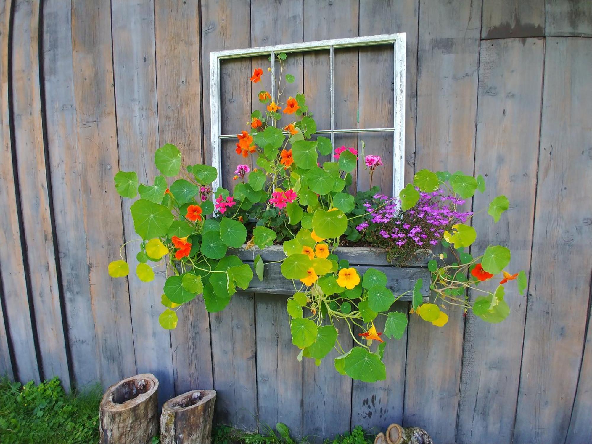 Spacious Country Retreat Close To Town And Nature, Sylvana Farm Vt Montpelier Exteriér fotografie
